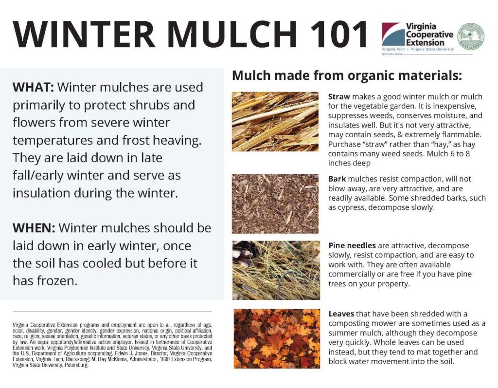 Winter Mulch