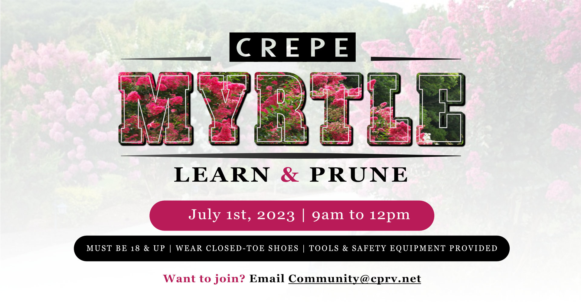 crepe myrtle learn and prune