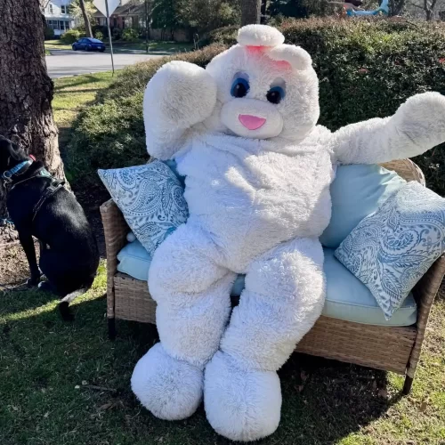 658041089_10237765244144233_2152213277095093784_n